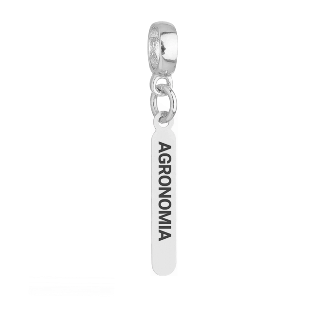 Berloque Plaquinha Agronomia Banhado a Ouro 18k