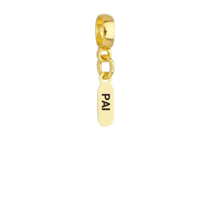 Berloque Plaquinha Pai Banhado a Ouro 18k