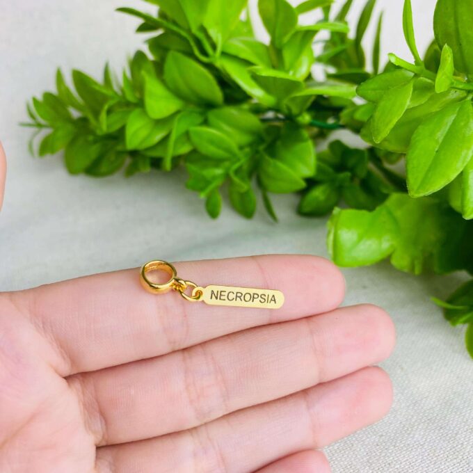 Berloque Plaquinha Necropsia Banhado a Ouro 18k